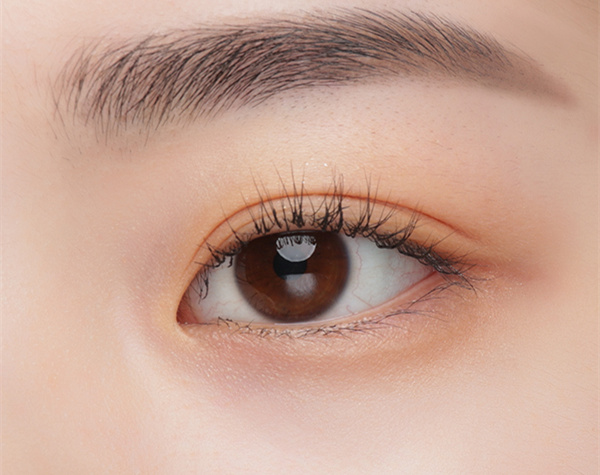 1638597894891048CS5D.jpg 3 下眼影步骤3.jpg