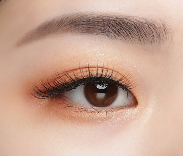 1638597909958689Rcw7.jpg 6 粘贴假睫毛步骤6.jpg